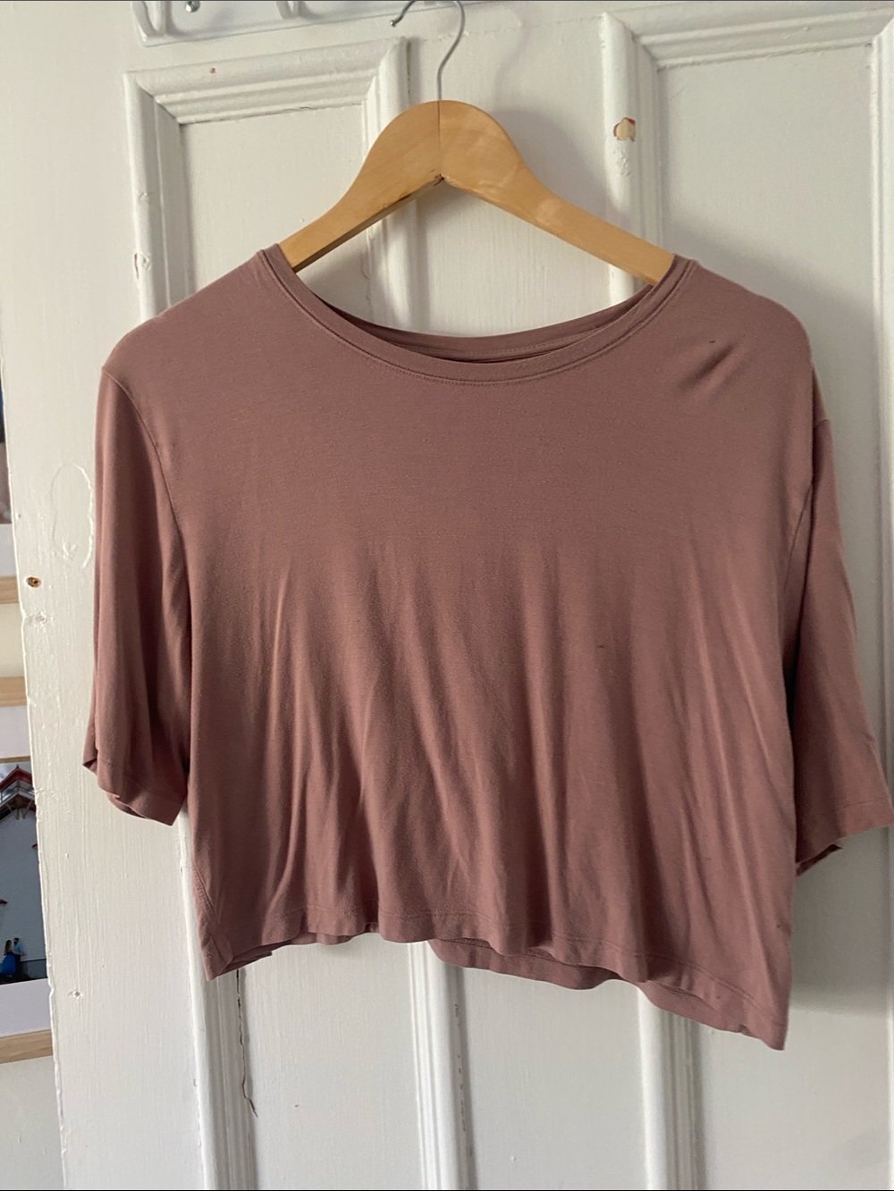 Aritzia Cropped Short Sleeve Top - Mauve